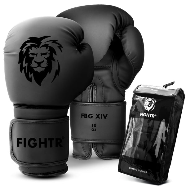 Boxing Gloves FBG XIV